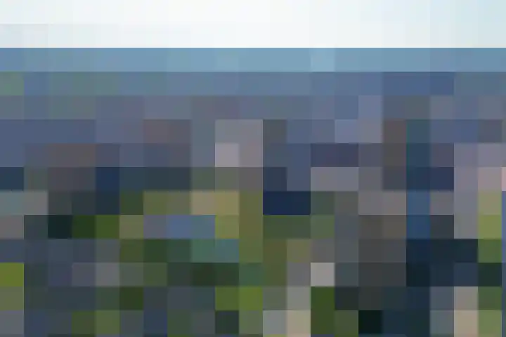 Buizerdhof 377 Capelle aan den IJssel thumbnail 39
