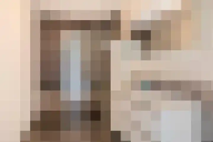 Buizerdhof 377 Capelle aan den IJssel thumbnail 4