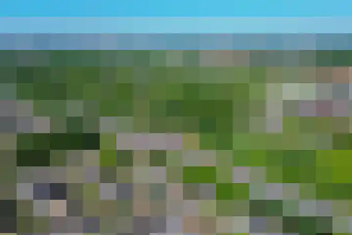 Buizerdhof 377 Capelle aan den IJssel thumbnail 41