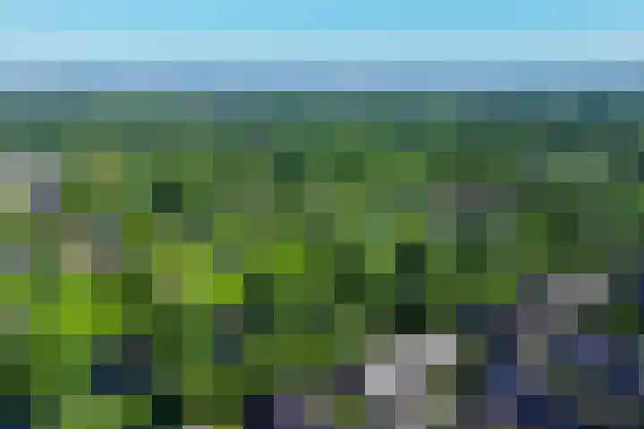 Buizerdhof 377 Capelle aan den IJssel thumbnail 42