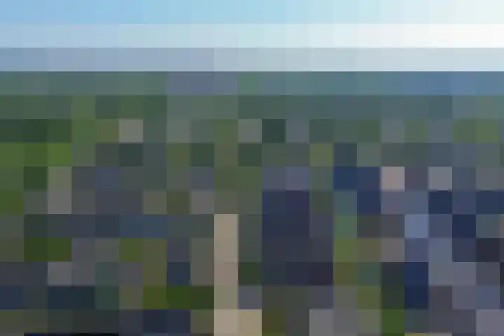 Buizerdhof 377 Capelle aan den IJssel thumbnail 43