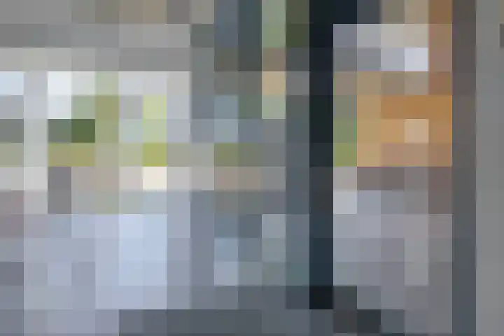 Buizerdhof 377 Capelle aan den IJssel thumbnail 8