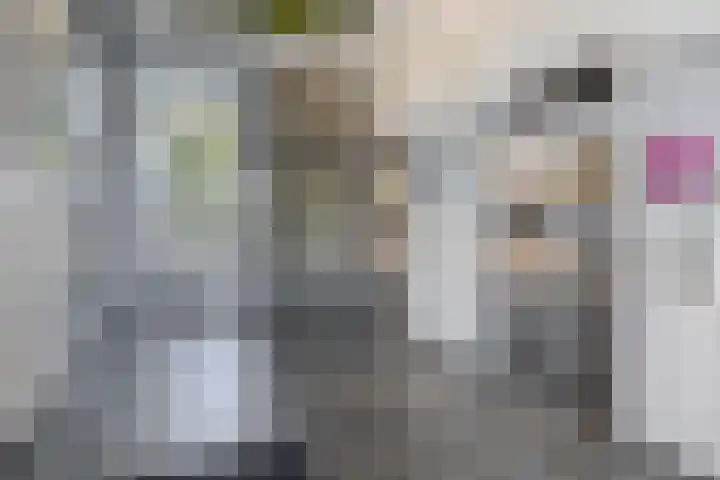 Buizerdhof 377 Capelle aan den IJssel thumbnail 9