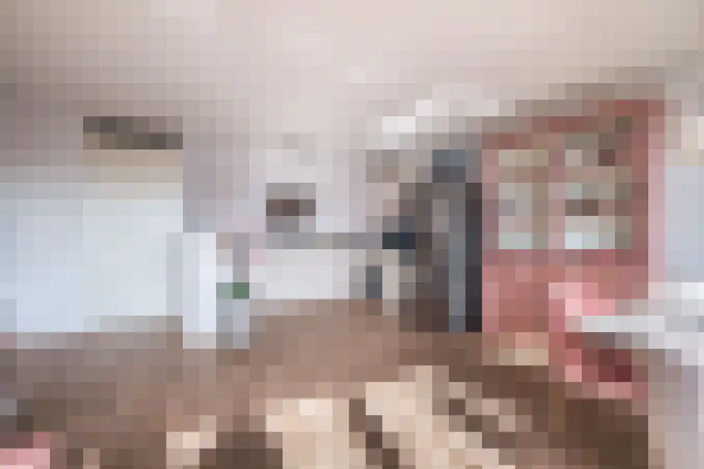 Buizerdhof 417 Capelle aan den IJssel thumbnail 25