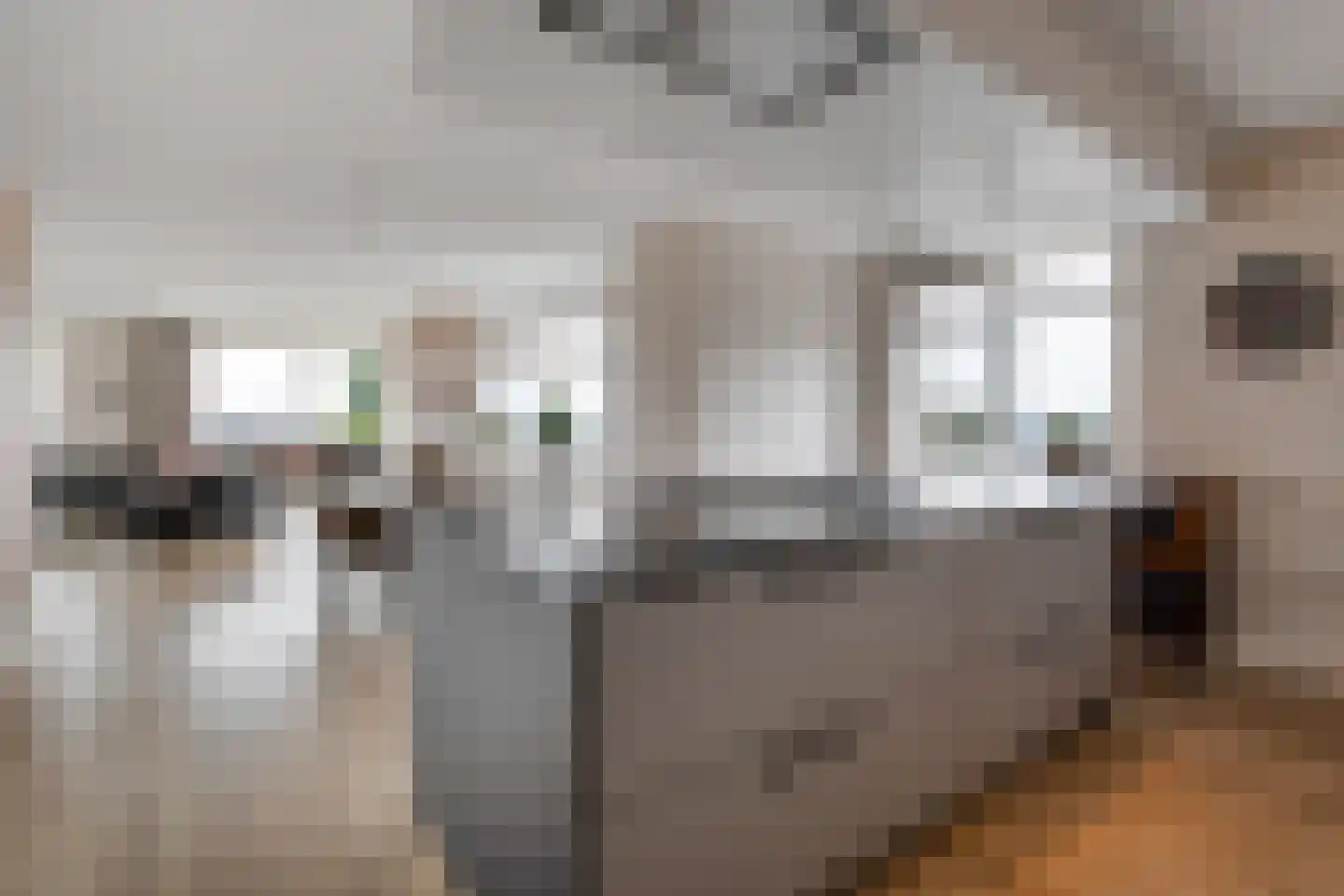 Buizerdhof 42 Hengelo thumbnail 19