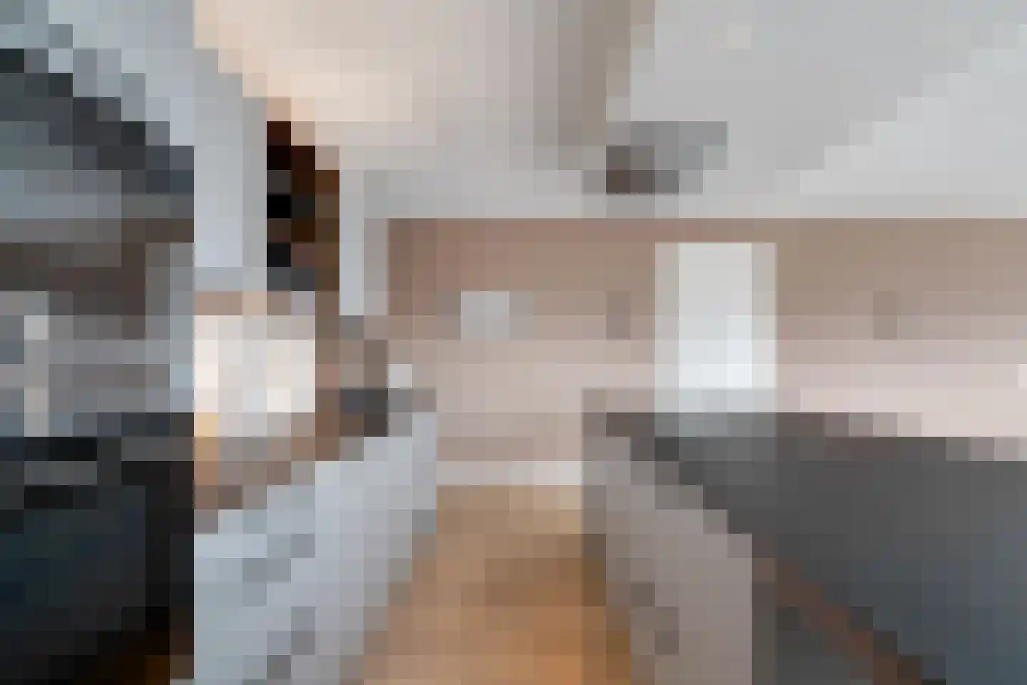 Buizerdhof 42 Hengelo thumbnail 24