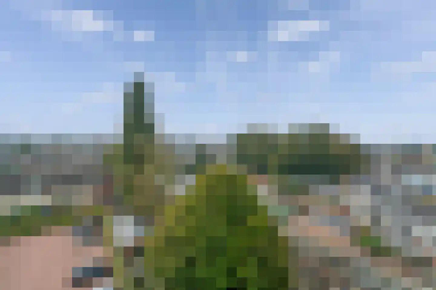 Buizerdhof 42 Hengelo thumbnail 39