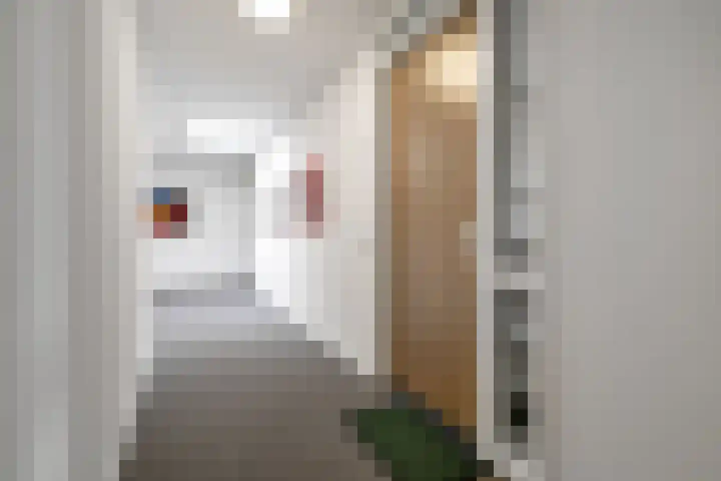 Buizerdhof 42 Hengelo thumbnail 8