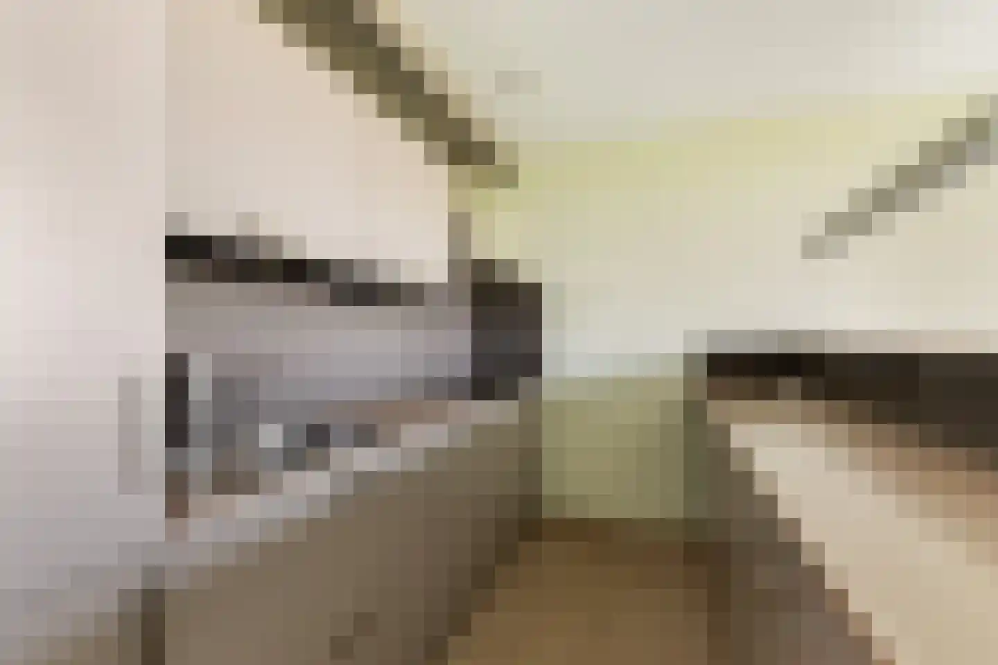 Buizerdhof 429 Capelle aan den IJssel thumbnail 16