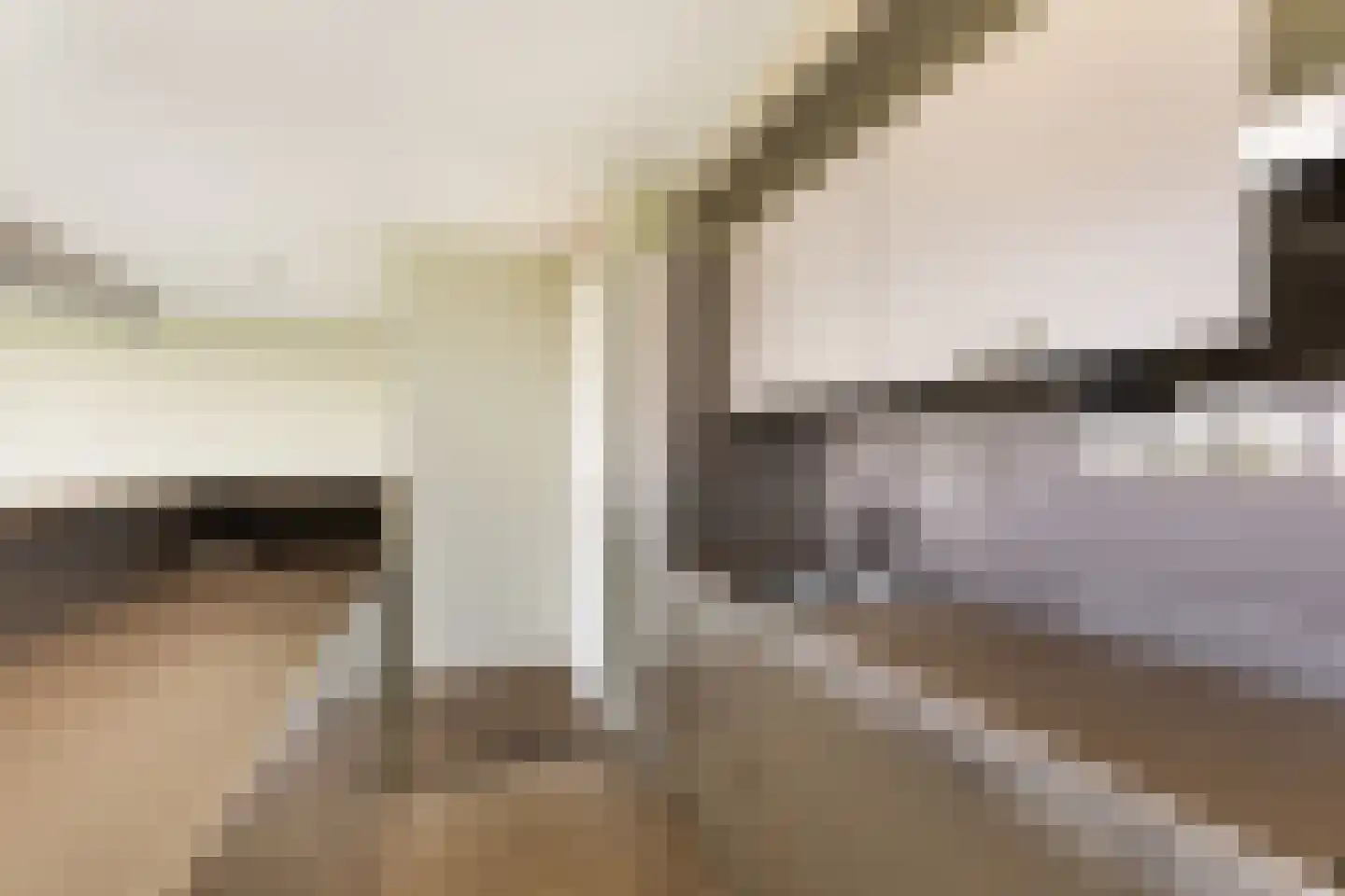 Buizerdhof 429 Capelle aan den IJssel thumbnail 17