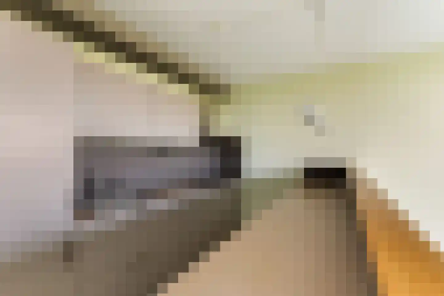 Buizerdhof 429 Capelle aan den IJssel thumbnail 19