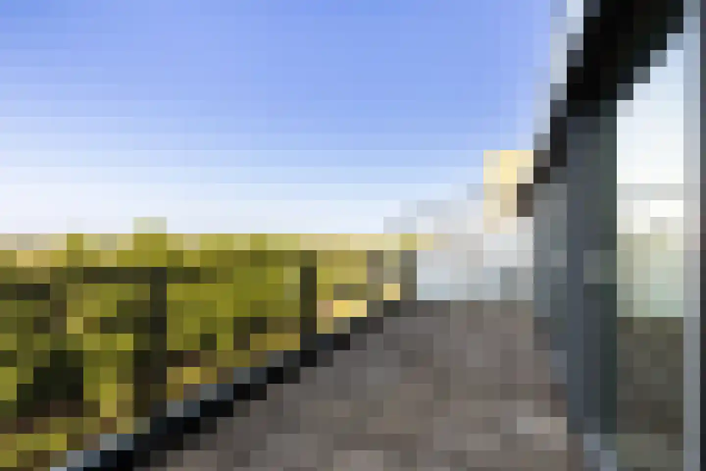 Buizerdhof 429 Capelle aan den IJssel thumbnail 4