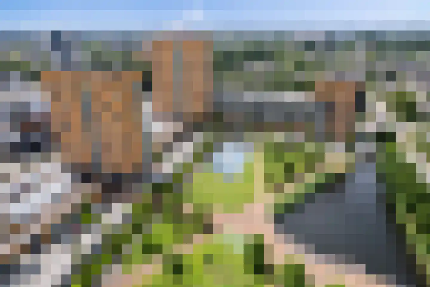 Buizerdhof 429 Capelle aan den IJssel thumbnail 60