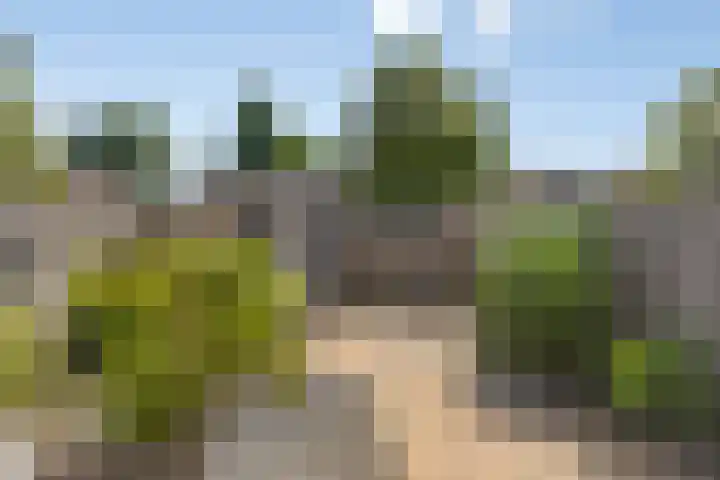Buizerdhof 5 Heinkenszand thumbnail 18