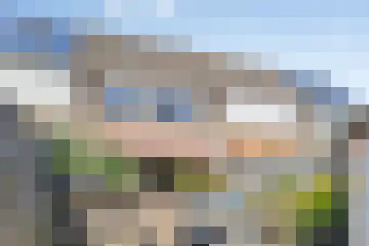 Buizerdhof 5 Heinkenszand thumbnail 20