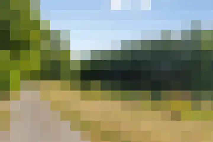 Buizerdhof 5 Heinkenszand thumbnail 21
