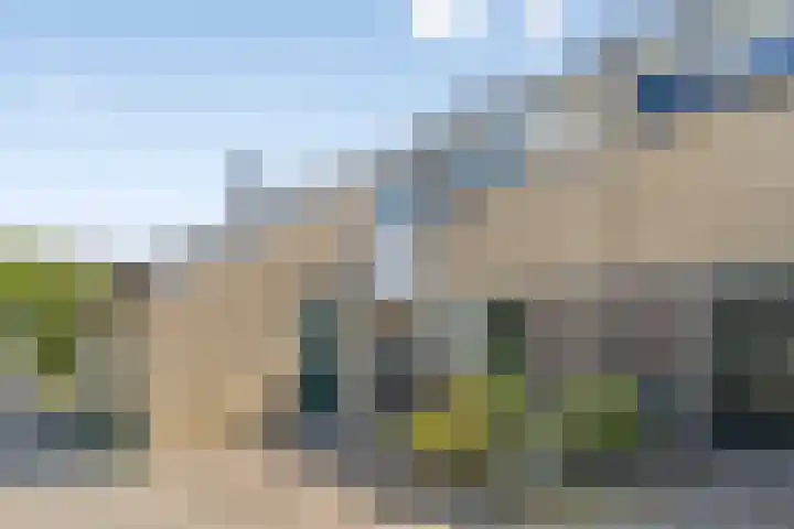 Buizerdhof 5 Heinkenszand thumbnail 29