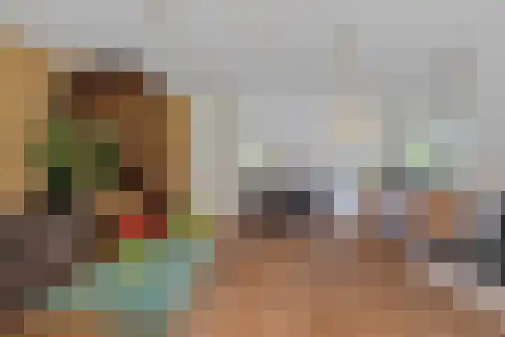 Buizerdhof 5 Heinkenszand foto 3