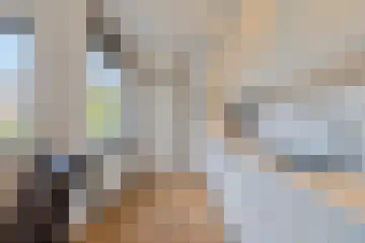 Buizerdhof 5 Heinkenszand thumbnail 5