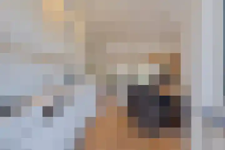 Buizerdhof 5 Heinkenszand thumbnail 6