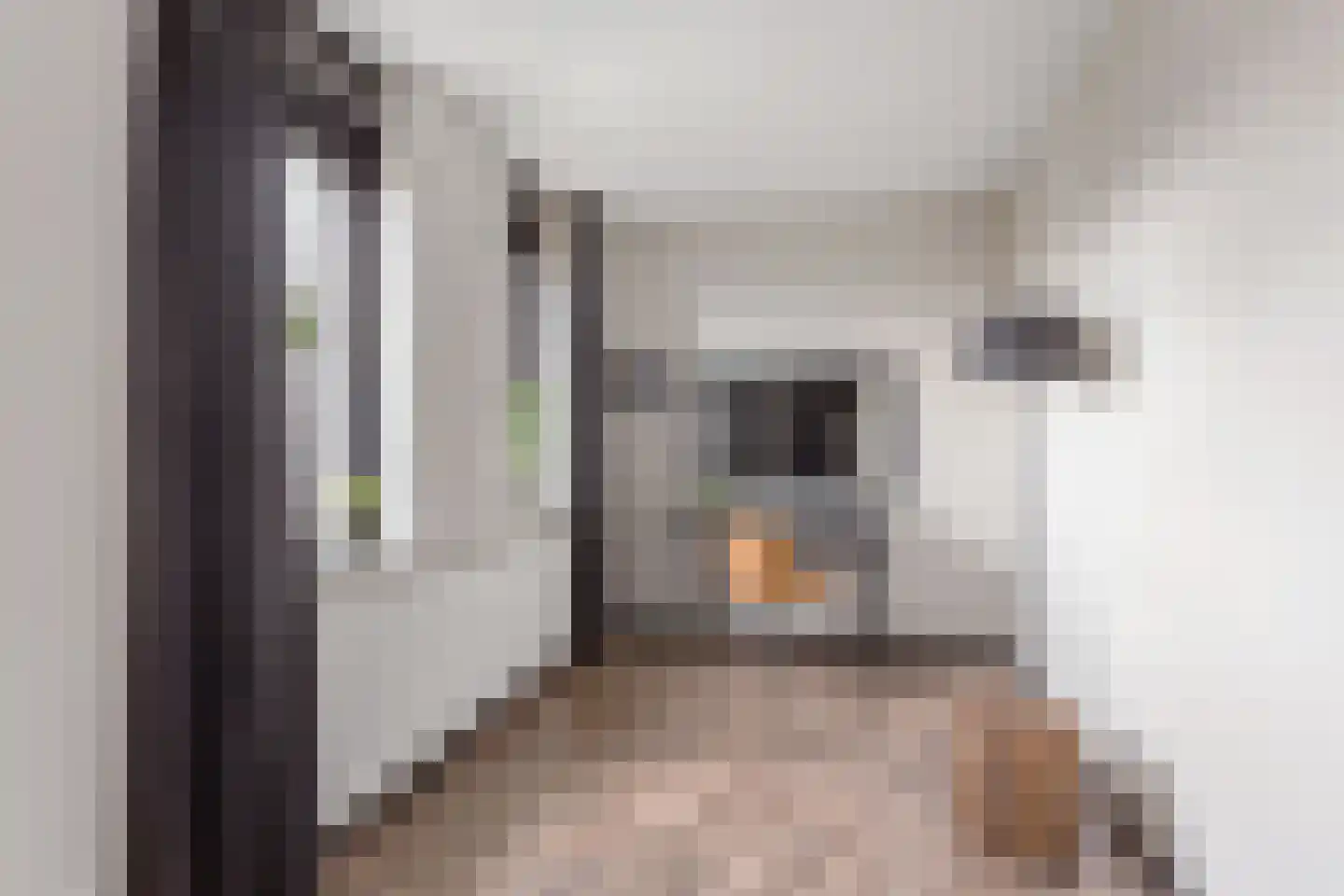 Buizerdhof 64 Hengelo thumbnail 16
