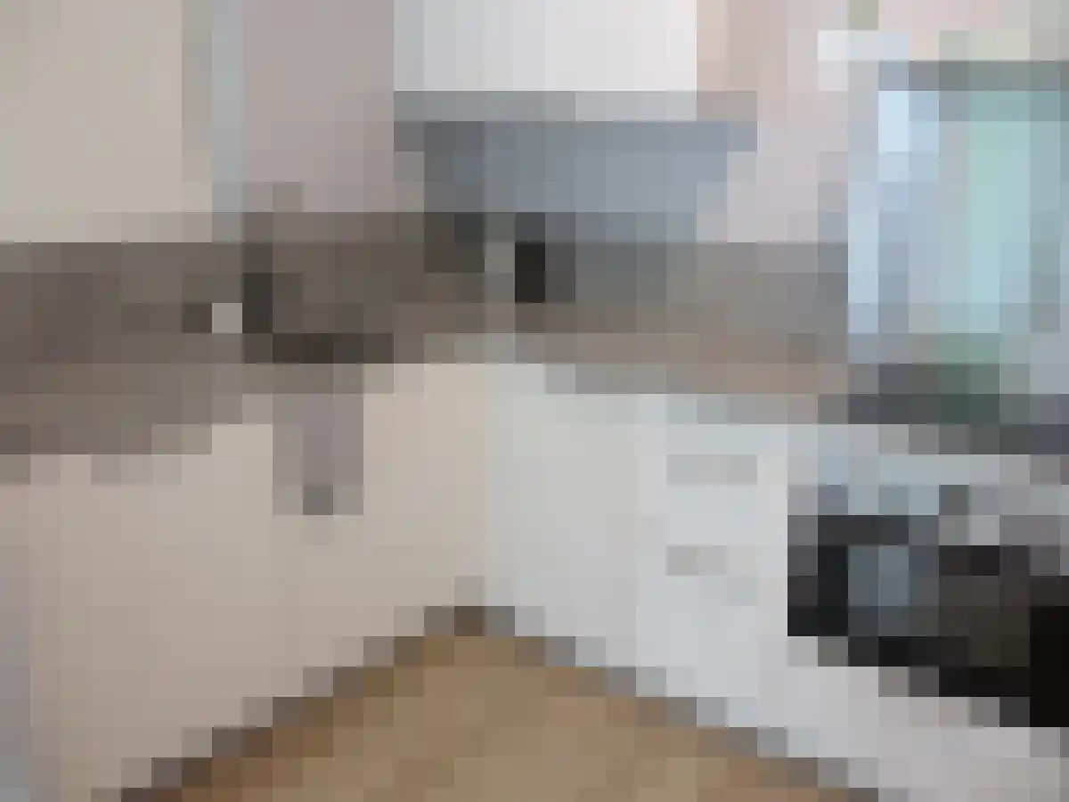 Buizerdhof Capelle aan den IJssel thumbnail 5