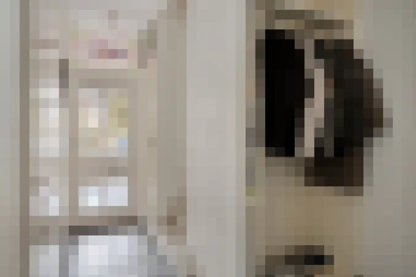 Buizerdhorst 36 Cuijk thumbnail 10