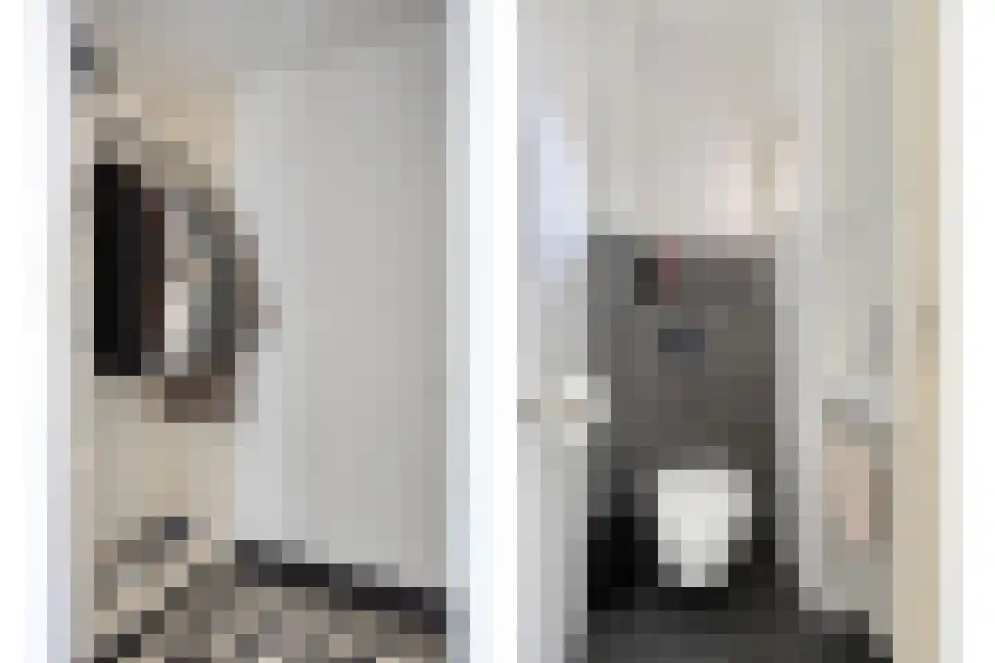 Buizerdhorst 36 Cuijk thumbnail 11