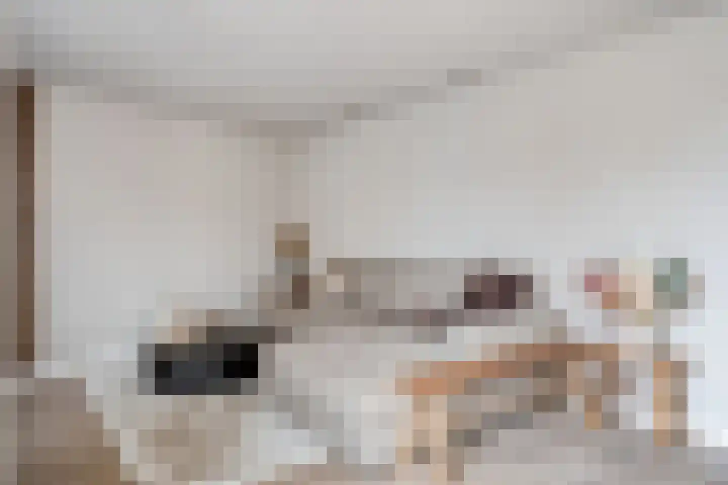 Buizerdhorst 36 Cuijk thumbnail 19