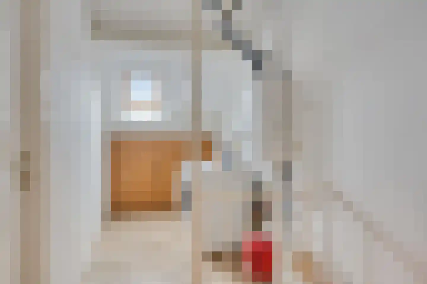 Buizerdhorst 36 Cuijk thumbnail 28