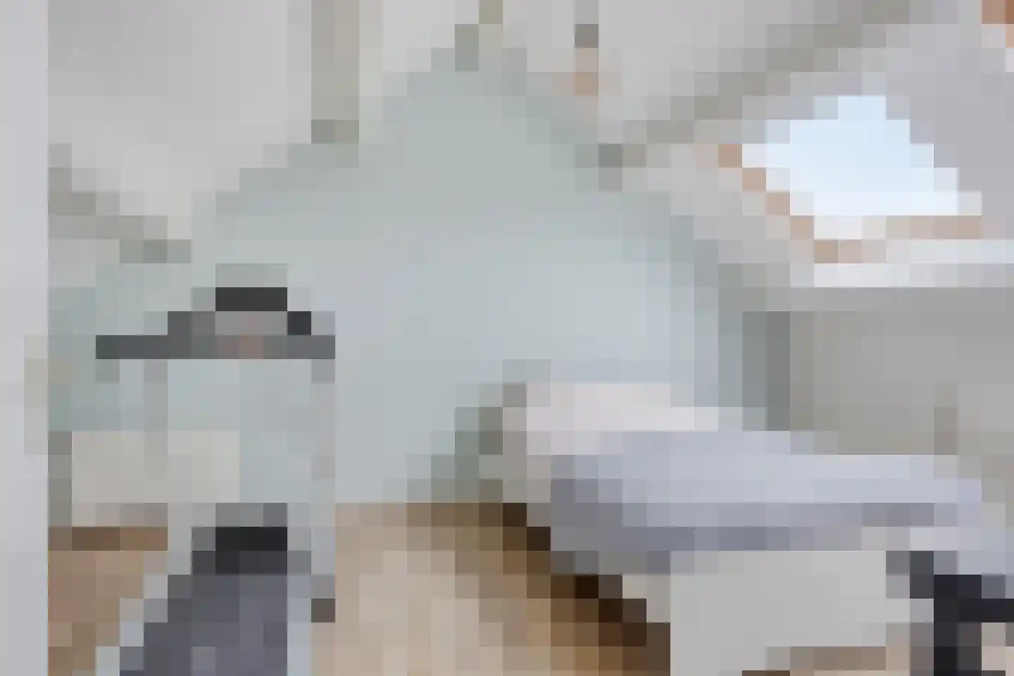 Buizerdhorst 36 Cuijk thumbnail 30