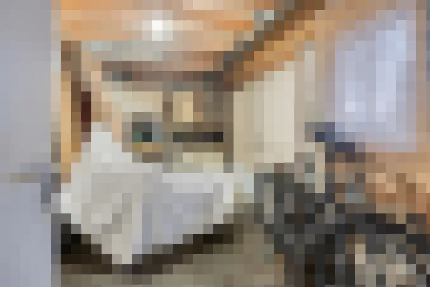 Buizerdhorst 36 Cuijk thumbnail 33