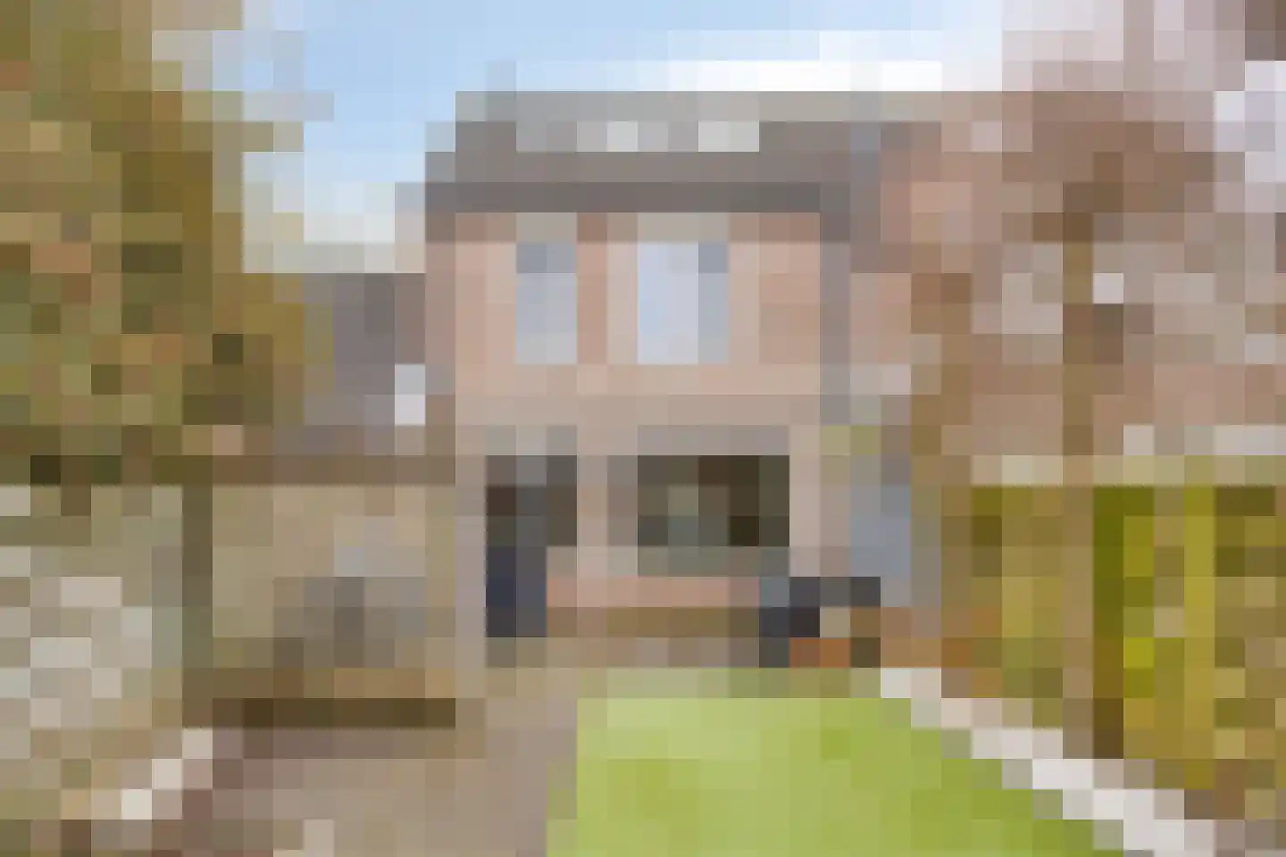 Buizerdhorst 36 Cuijk thumbnail 34