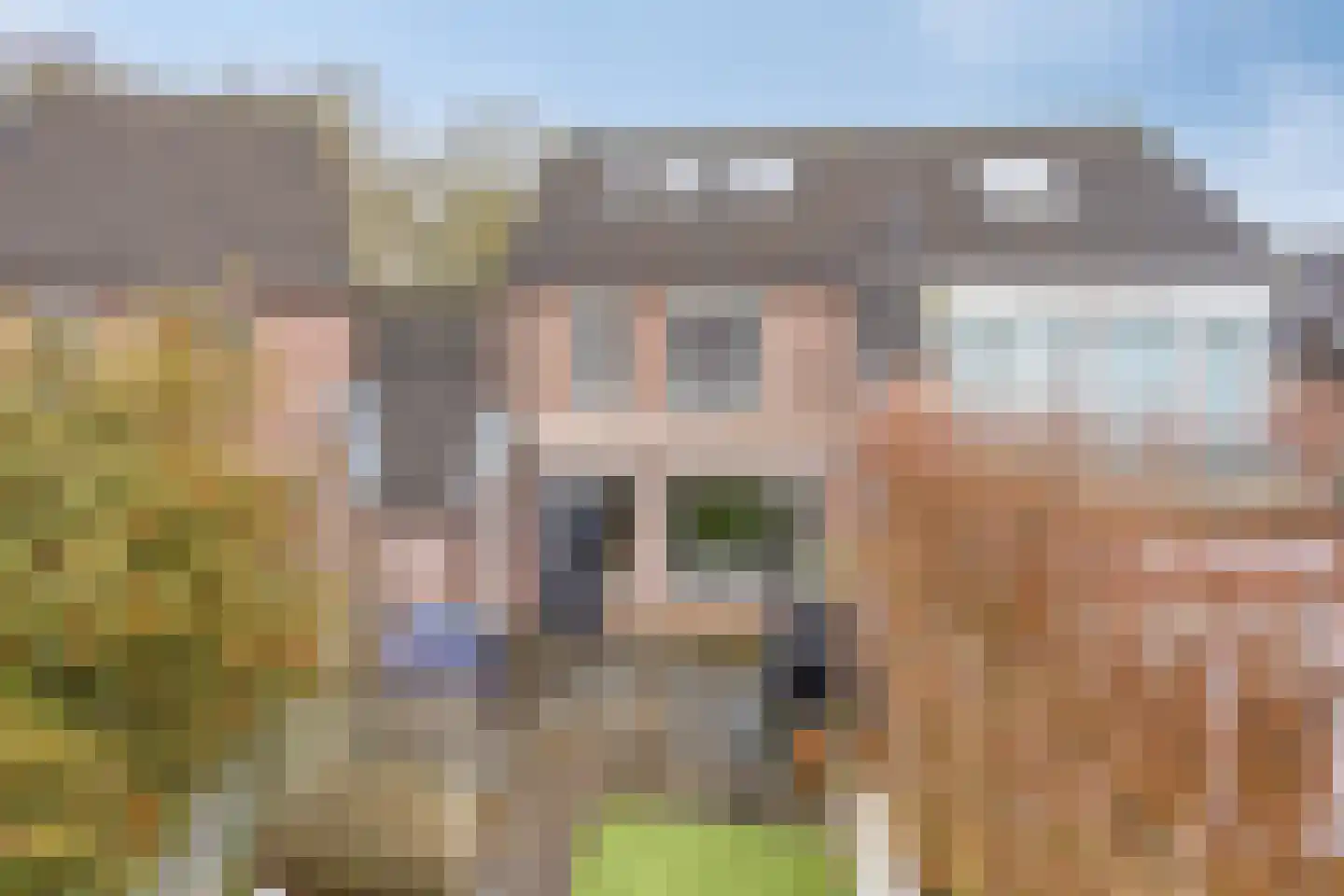 Buizerdhorst 36 Cuijk thumbnail 35