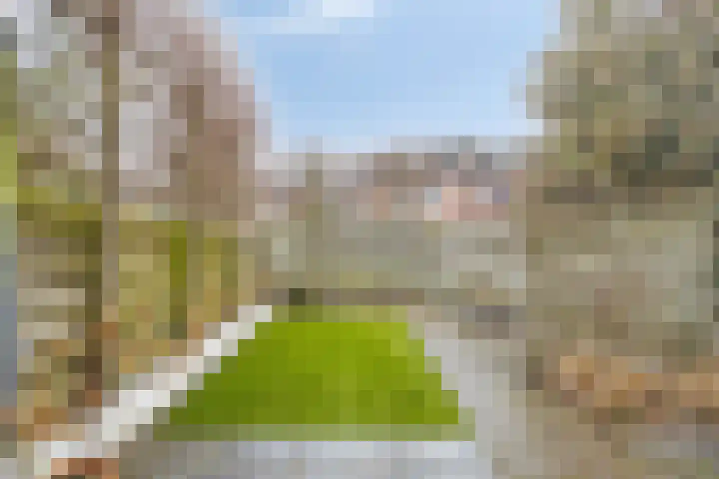 Buizerdhorst 36 Cuijk thumbnail 37