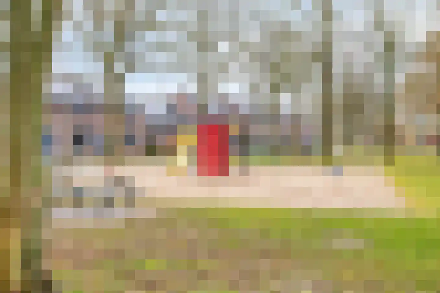 Buizerdhorst 36 Cuijk thumbnail 38
