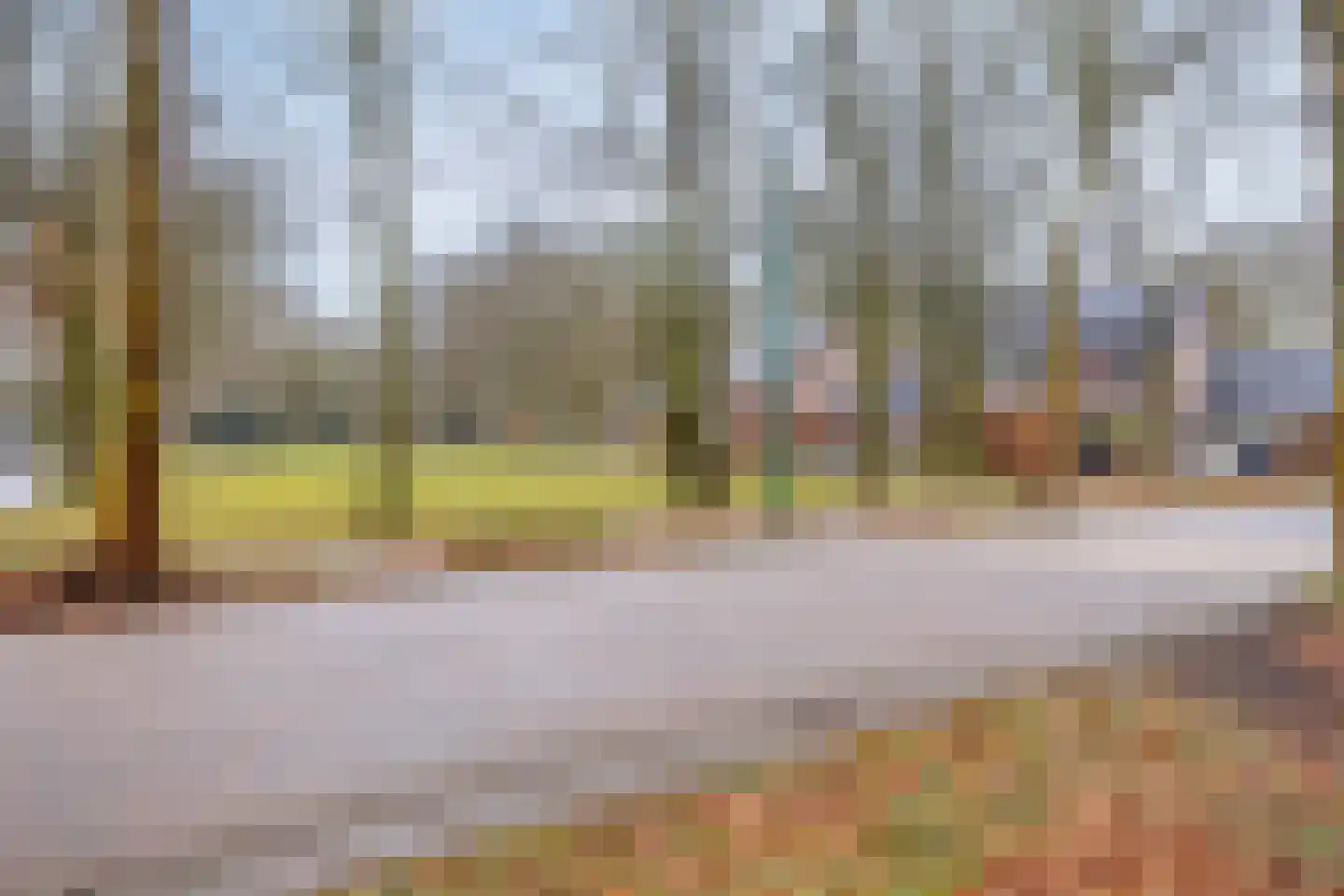 Buizerdhorst 36 Cuijk thumbnail 39