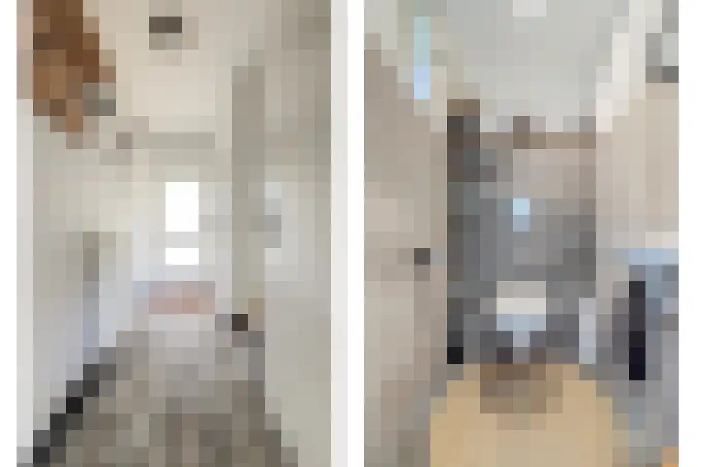 Buizerdhorst 61 Cuijk thumbnail 10