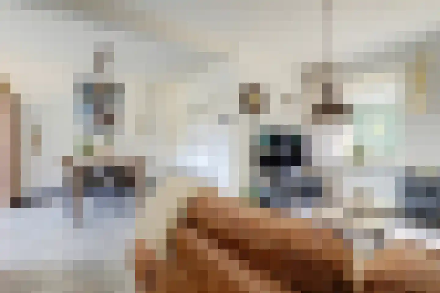 Buizerdhorst 61 Cuijk thumbnail 14