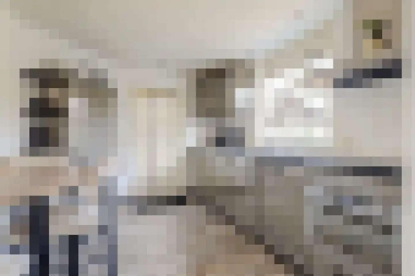 Buizerdhorst 61 Cuijk thumbnail 20