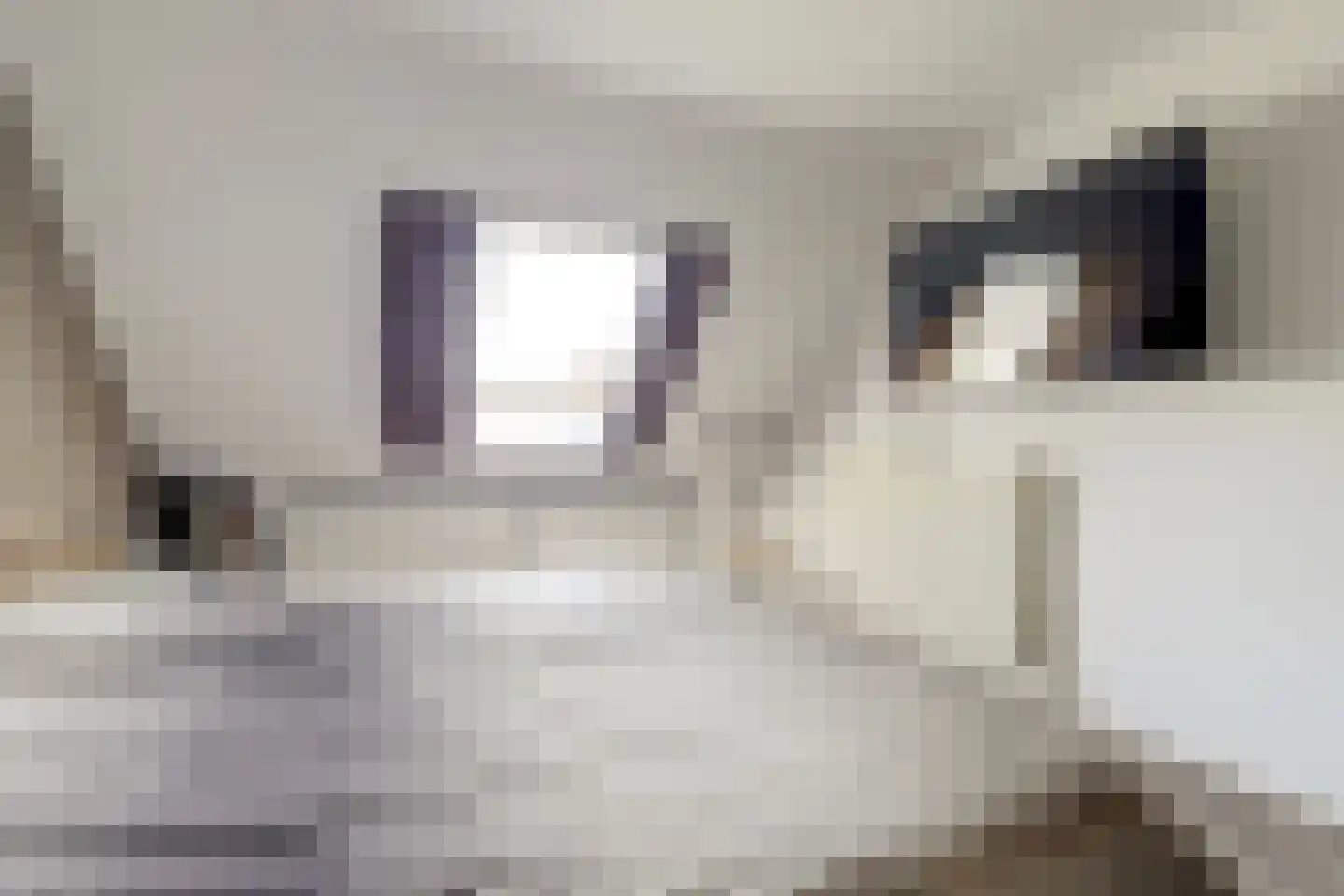 Buizerdhorst 61 Cuijk thumbnail 27