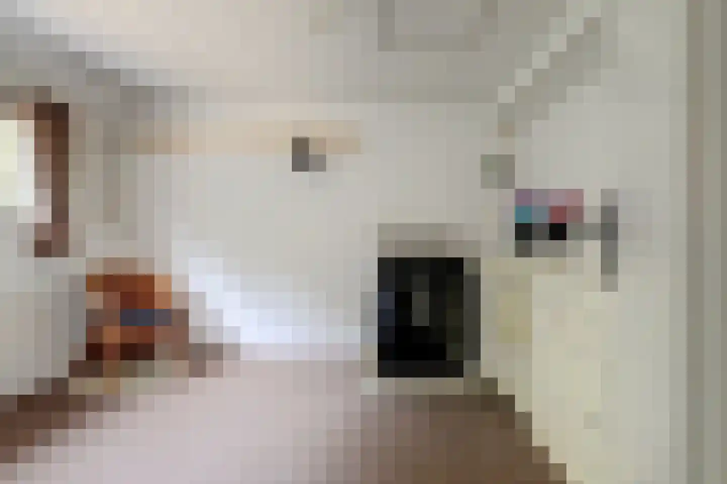 Buizerdhorst 61 Cuijk thumbnail 33