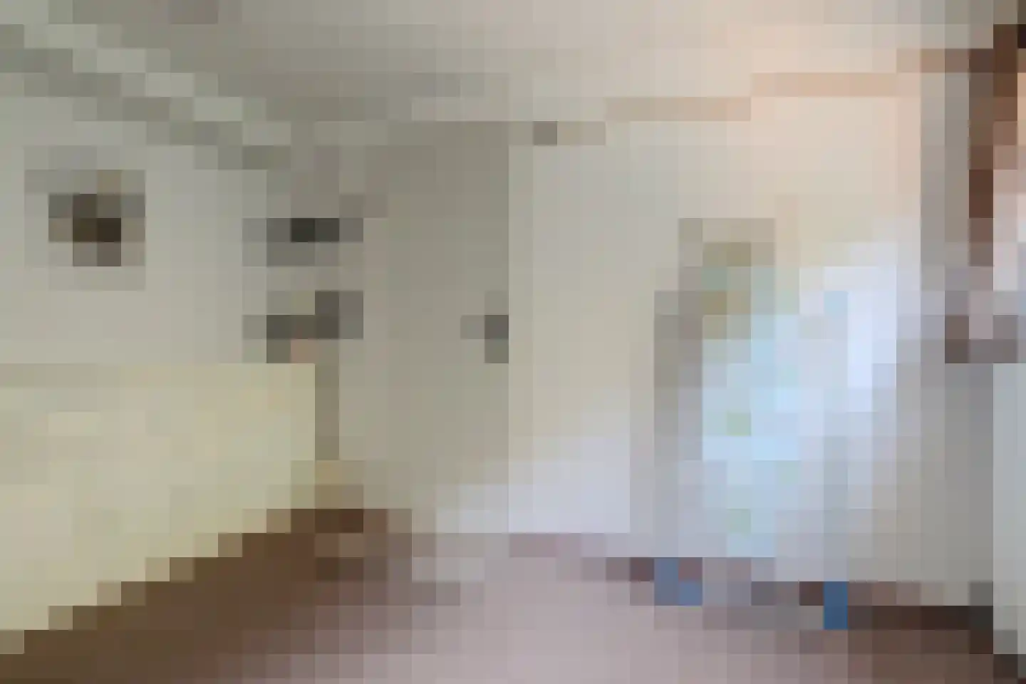 Buizerdhorst 61 Cuijk thumbnail 34