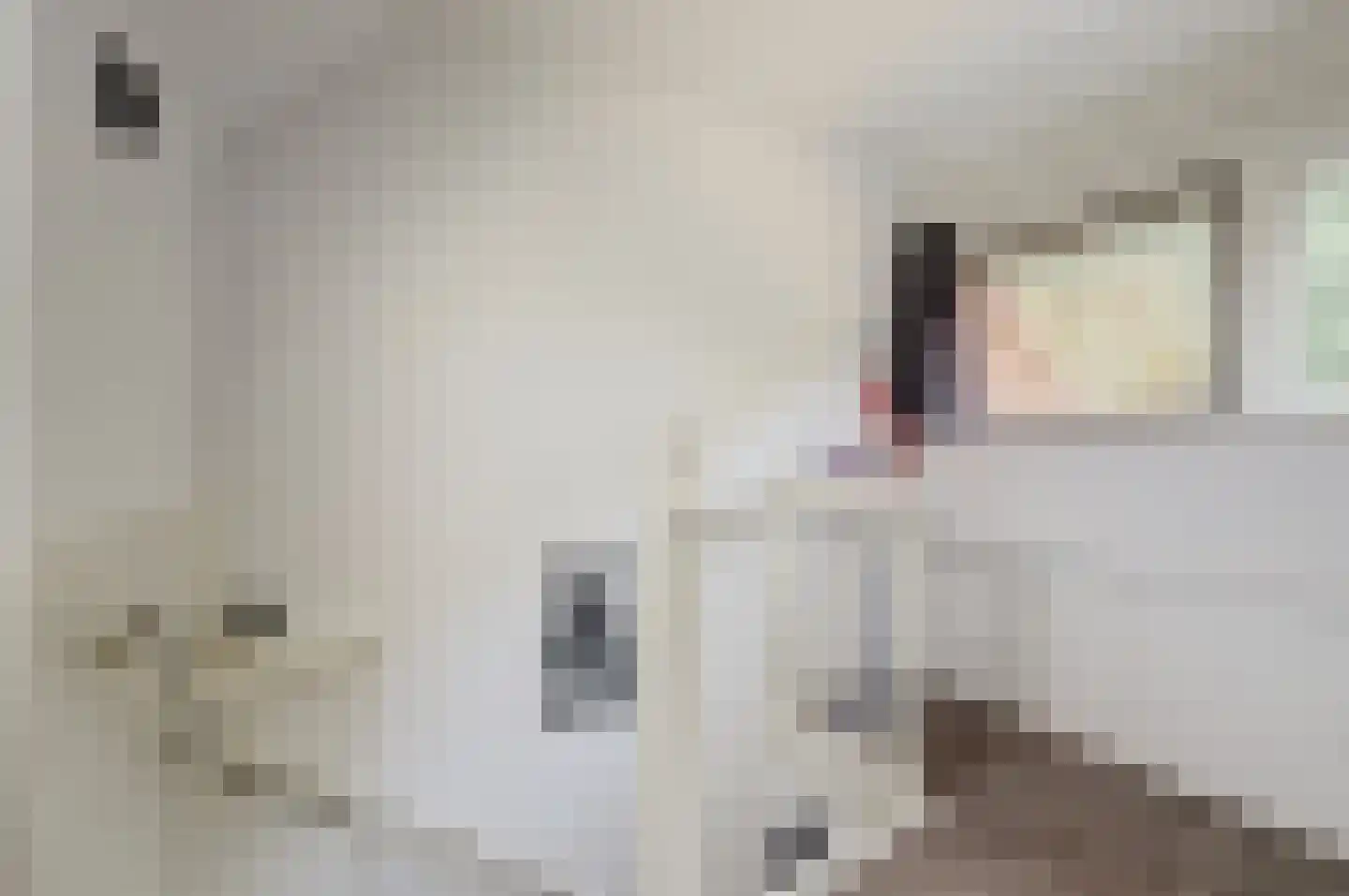 Buizerdhorst 61 Cuijk thumbnail 39