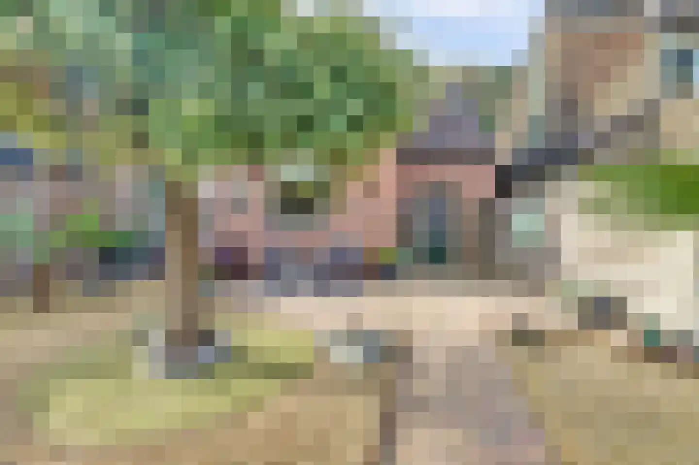Buizerdhorst 61 Cuijk thumbnail 43