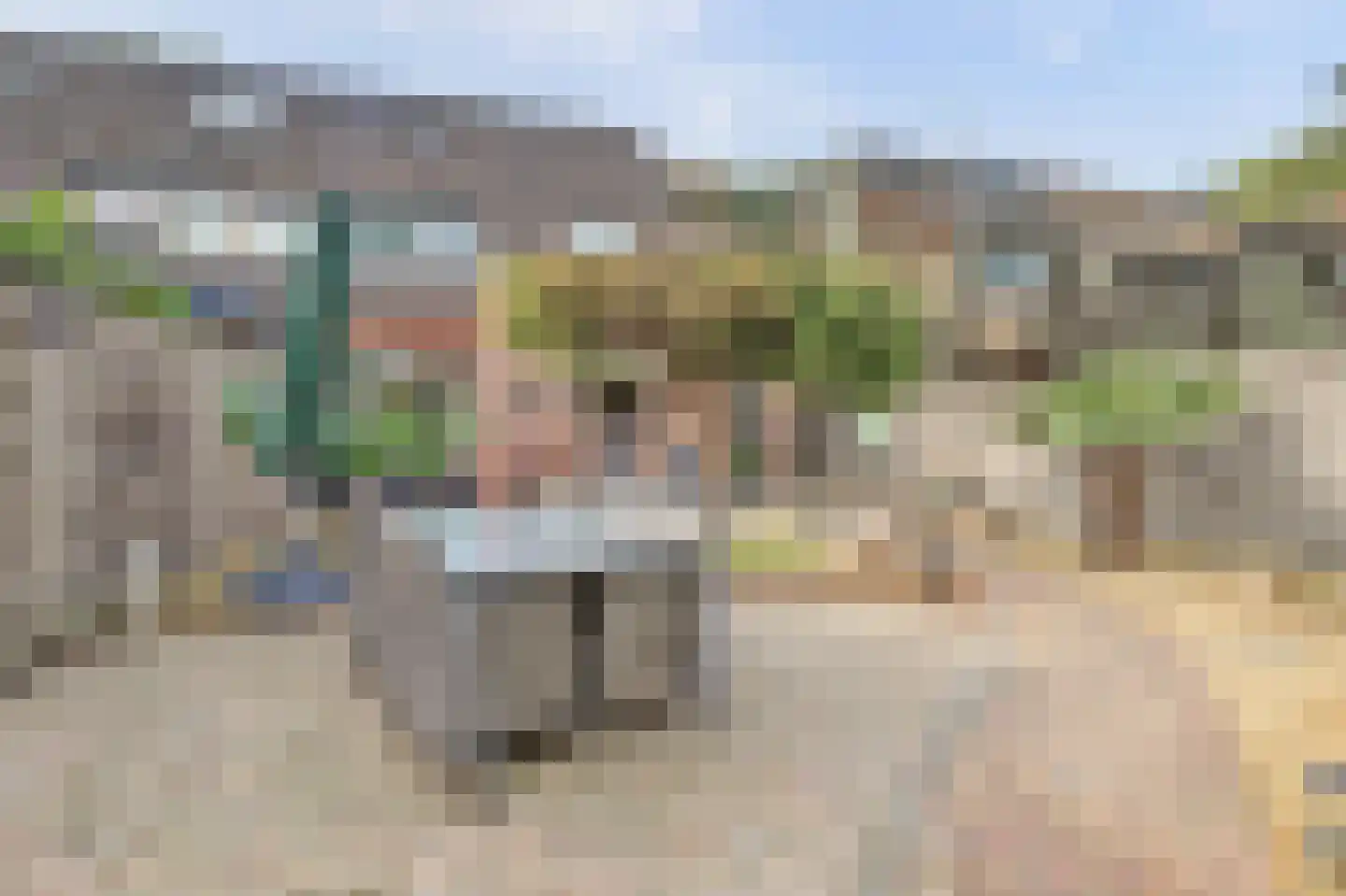 Buizerdhorst 61 Cuijk thumbnail 45