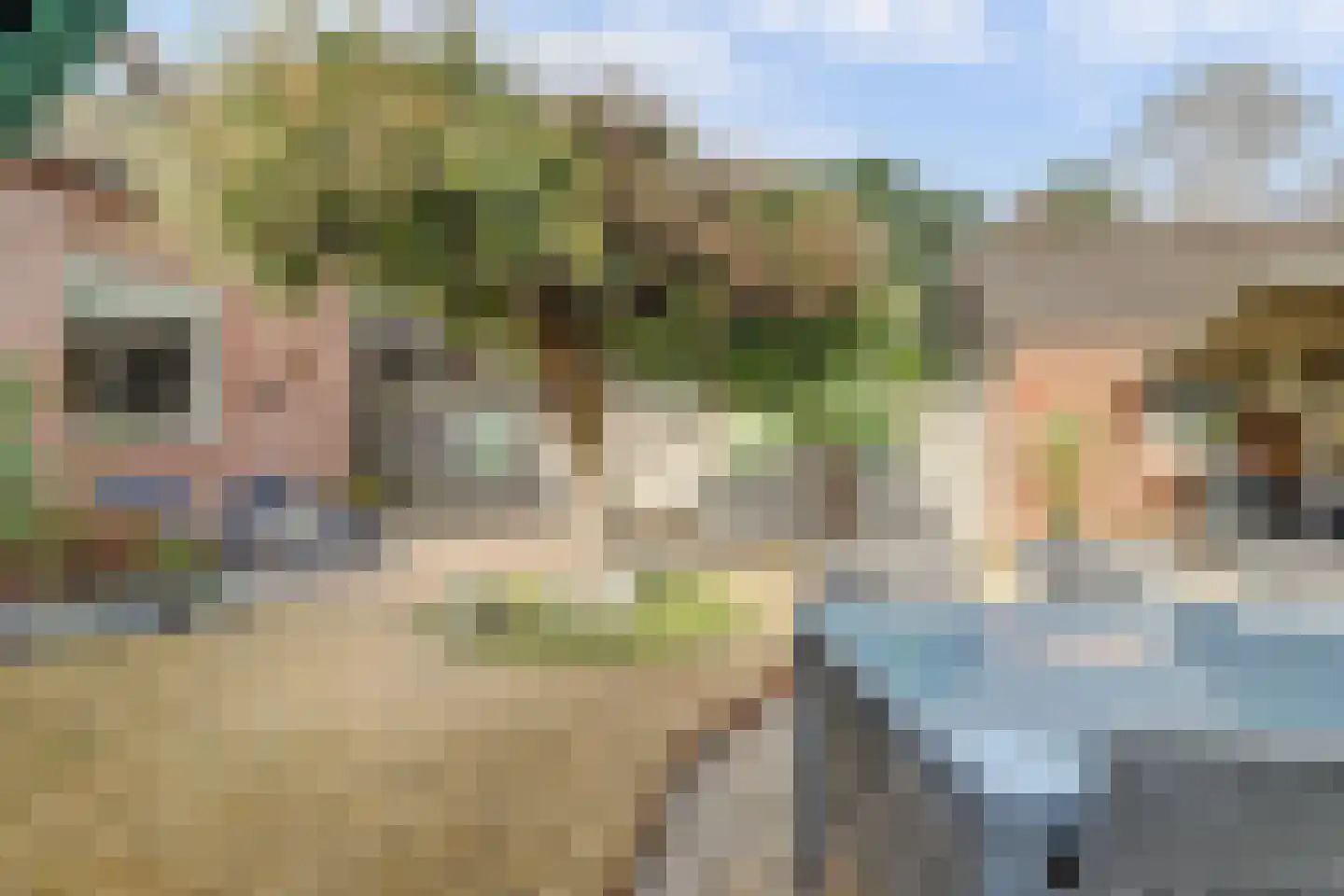 Buizerdhorst 61 Cuijk thumbnail 46