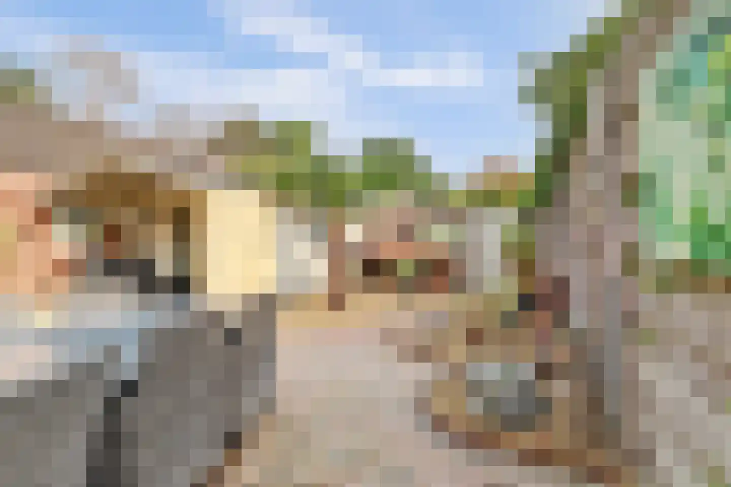 Buizerdhorst 61 Cuijk thumbnail 47