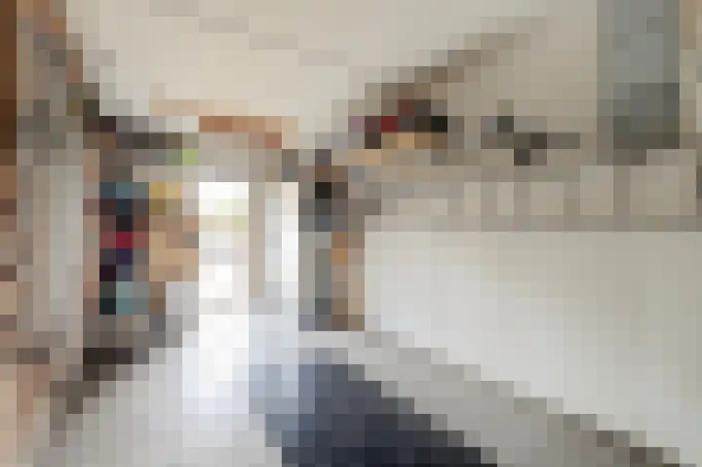 Buizerdhorst 61 Cuijk thumbnail 48