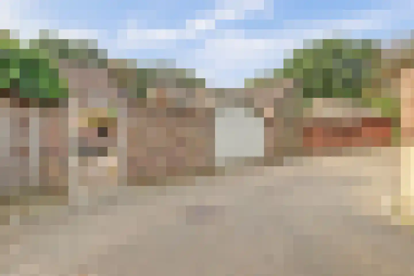 Buizerdhorst 61 Cuijk thumbnail 49